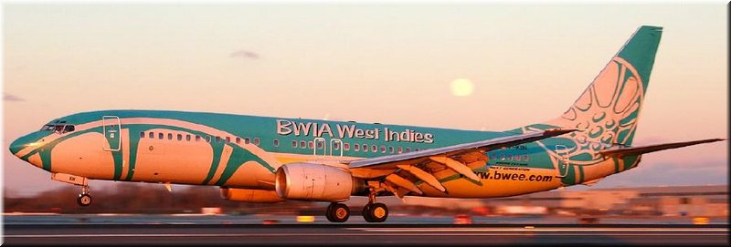The entire fleet of the national airline of Trinidad & Tobago was once enveloped by the image of the Steelpan prominently displayed as its official insgnia