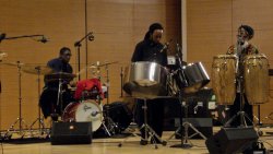 Panist Kareem Thompson performs at Jazz on Pan at Brooklyn Museum
