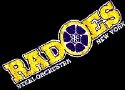 D'Radoes Steel Orchestra logo