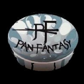 Pan Fantasy Steel Orchestra band logo - WST